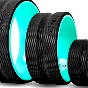 Chirp Wheel 12in 10in 6in